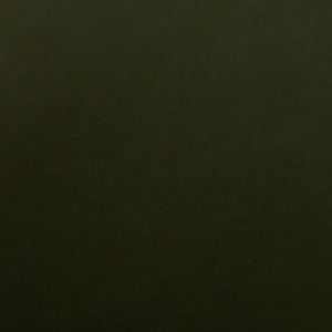 Meet your Posher, Hector